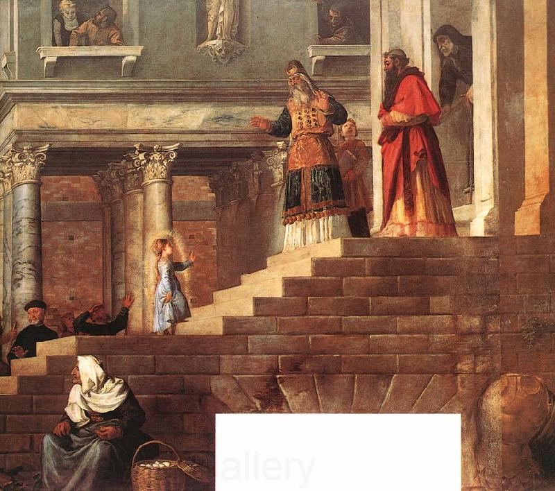 TIZIANO Vecellio Presentation of the Virgin at the Temple (detail) er Norge oil painting art